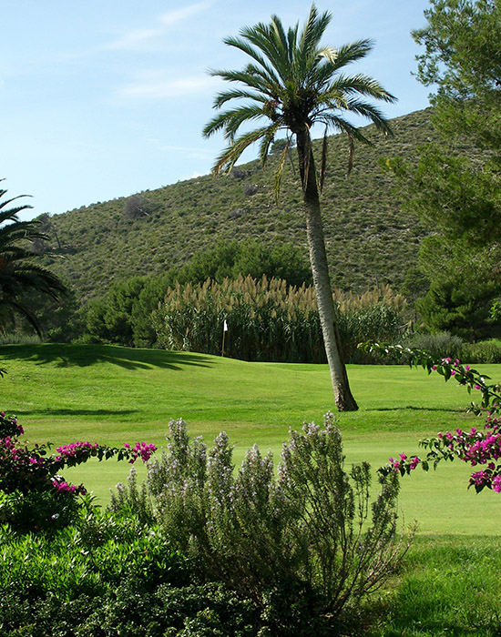 Mallorca Classics