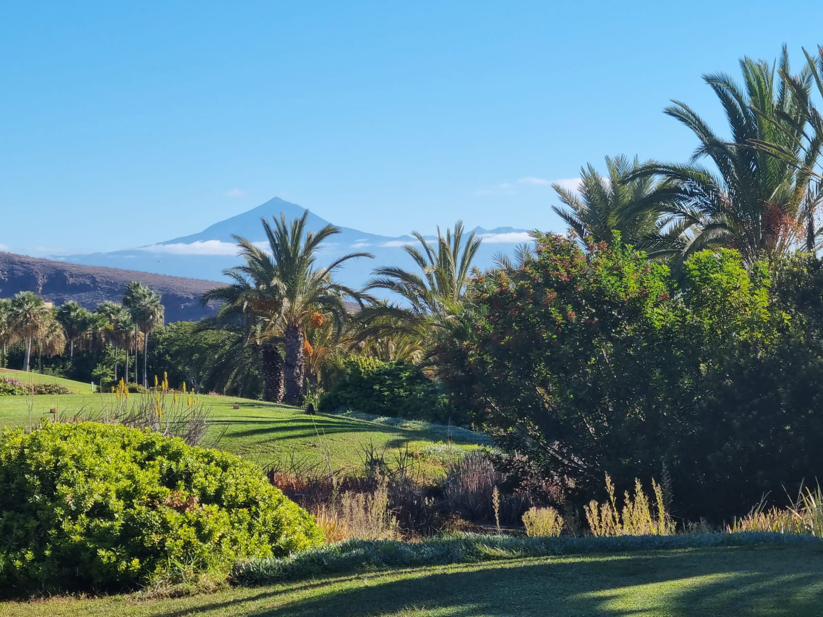 Frühjahrsreise La Gomera