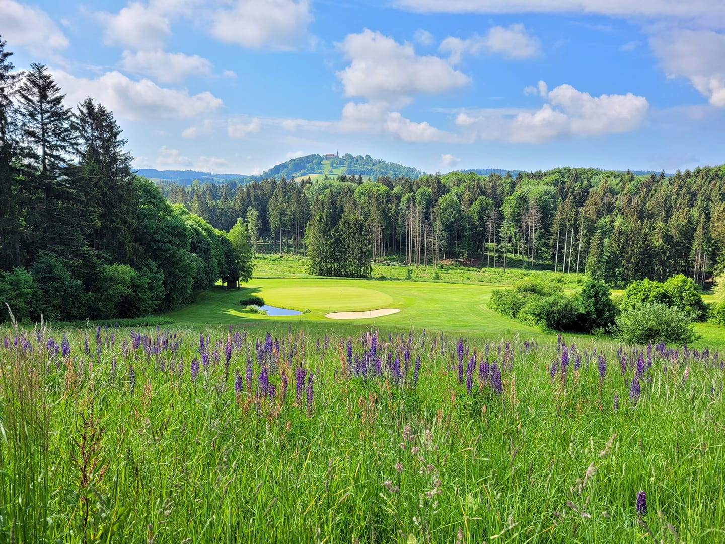 Trip in den Bayerischen Wald