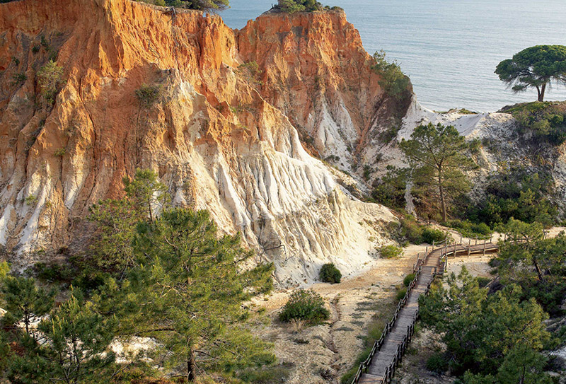 Trainingsreise Pine Cliffs